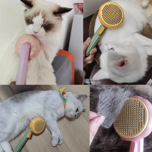 Cepillo Removedor Pelo Pet Brush Mascota
